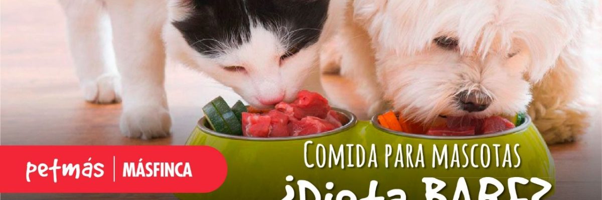 COMIDA PARA MASCOTAS BARF