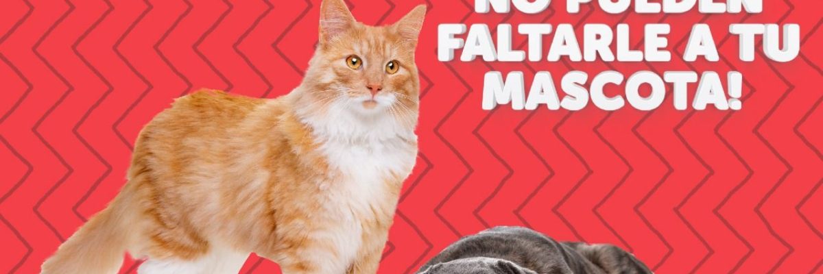 CUIDADOS VITALES PARA LAS MASCOTAS