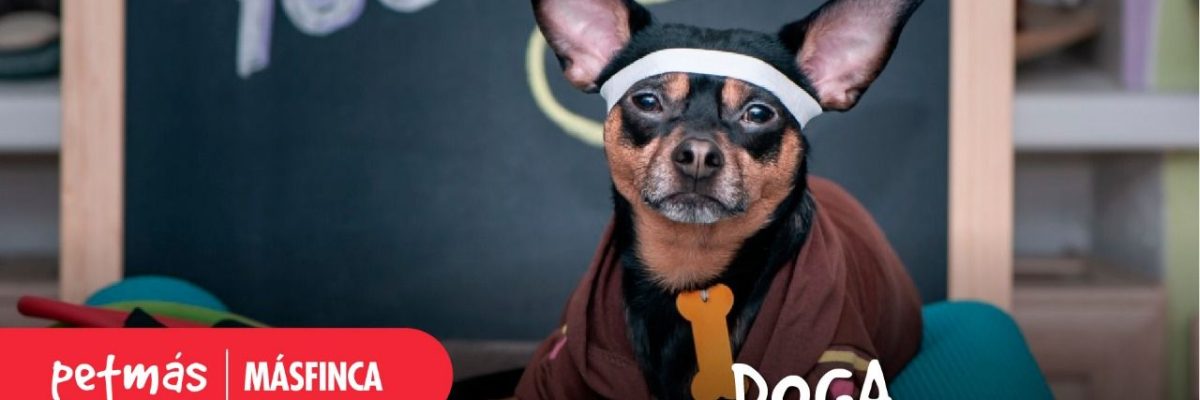 DOGA