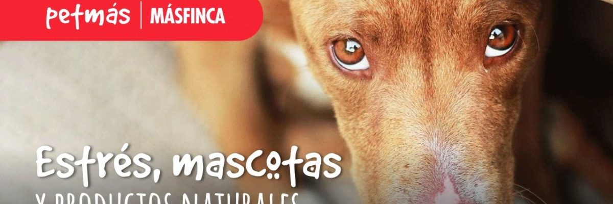 ESTRES-MASCOTAS-Y-PRODUCTOS-NATURALES