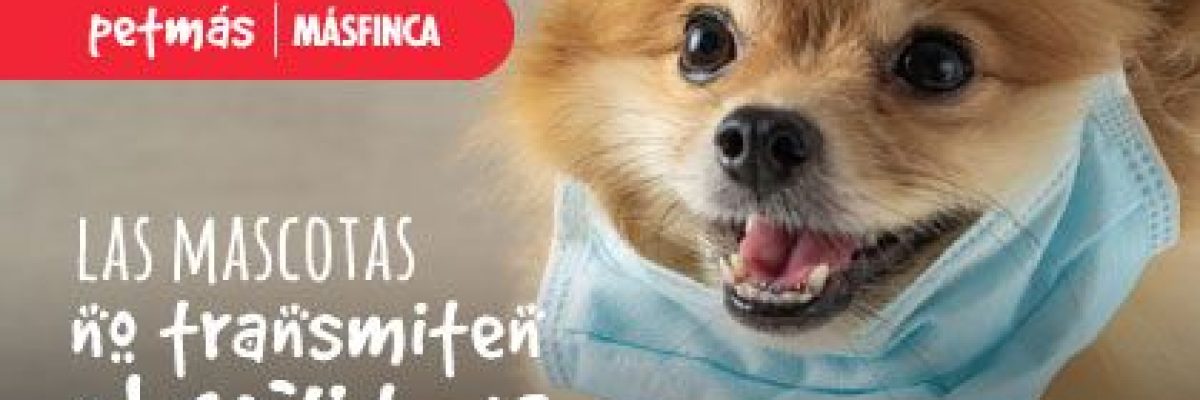 MASCOTAS Y CORONAVIRUS