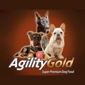agility